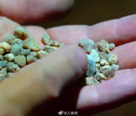 首次！漢中天坑群發(fā)現(xiàn)大量古生物化石