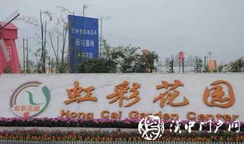 “門(mén)戶(hù)君帶你游園賞金菊”活動(dòng)順利舉行