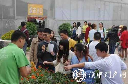 “門(mén)戶(hù)君帶你游園賞金菊”活動(dòng)順利舉行