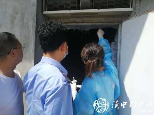 西鄉(xiāng)冷庫、冷凍肉品新冠病毒核酸檢測結果公布