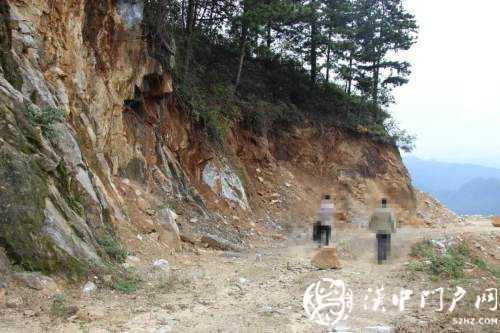 勉縣一處林地被破壞，緣何行政機(jī)關(guān)成為被告？