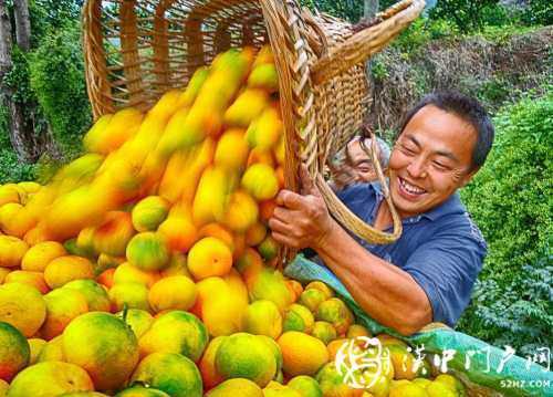 城固縣累計減貧71672人，101個貧困村退出