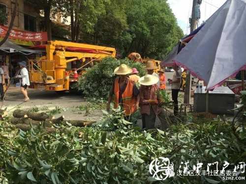 漢中市區(qū)一棵10米大樹(shù)突然傾倒，刮倒高壓線，所幸無(wú)人傷亡