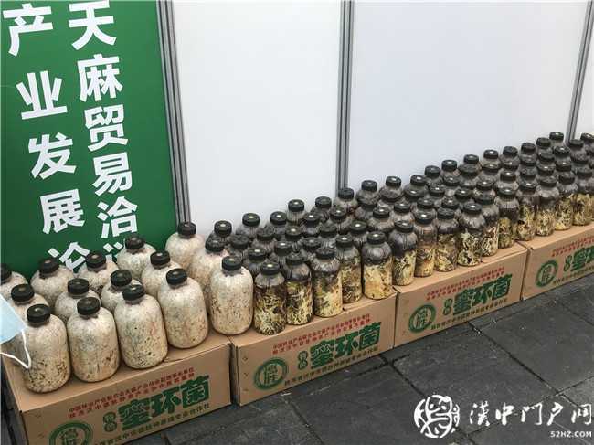 寧強(qiáng)縣第三屆天麻貿(mào)易洽談會(huì)暨天麻產(chǎn)業(yè)發(fā)展論壇今日開幕！