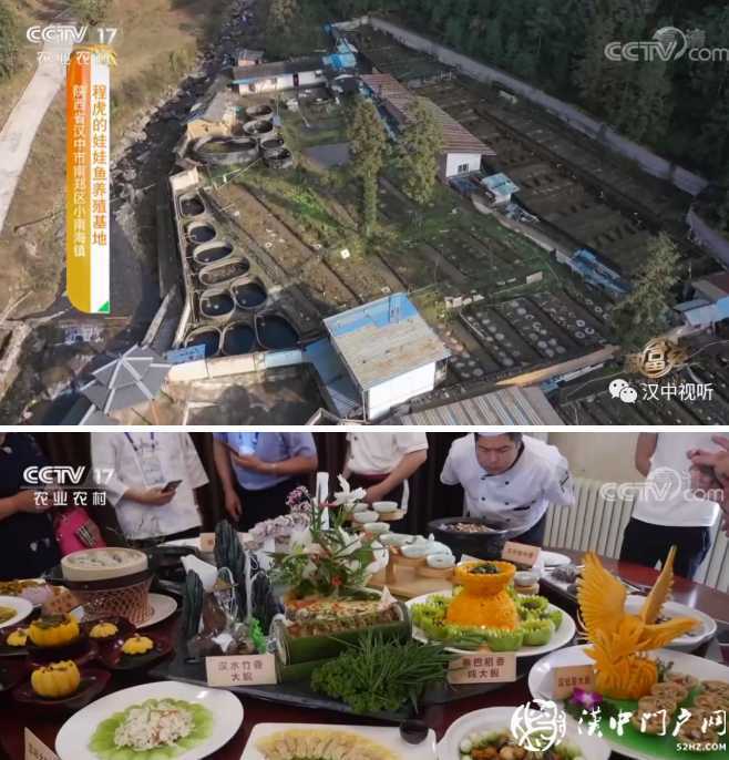 欠款400多萬后的財(cái)富逆襲！這位漢中小伙的勵(lì)志故事被央視關(guān)注