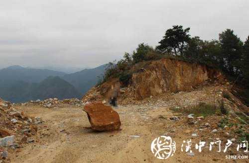 勉縣一處林地被破壞，緣何行政機(jī)關(guān)成為被告？