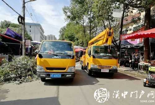 漢中市區(qū)一棵10米大樹(shù)突然傾倒，刮倒高壓線，所幸無(wú)人傷亡