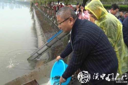 漢臺(tái)區(qū)愛心放流，40萬(wàn)尾魚寶寶漢江“安家”