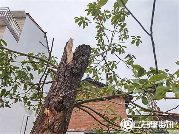 陜飛公司通勤車撞上騎電動車上學(xué)母女倆，致兩人不幸身亡