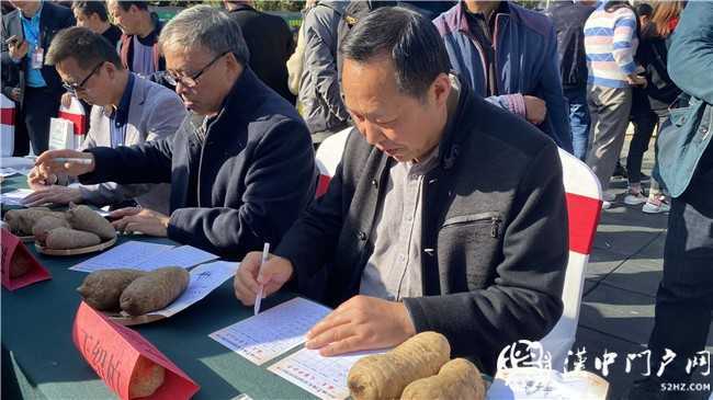寧強縣舉行2020天麻美食節(jié)暨“麻王”大賽活動