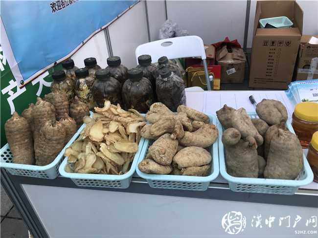 寧強(qiáng)縣第三屆天麻貿(mào)易洽談會(huì)暨天麻產(chǎn)業(yè)發(fā)展論壇今日開幕！