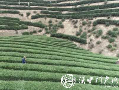 漢中這家企業(yè)，首次躋身百強榜！