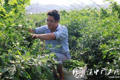 城固縣累計減貧71672人，101個貧困村退出
