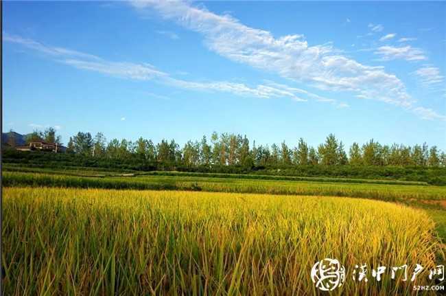 定格美好！想和你一起去找尋漢臺(tái)秋日里的小確幸~