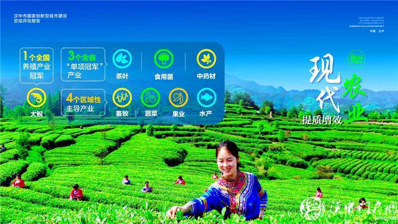 “五大發(fā)展理念”實(shí)施產(chǎn)業(yè)轉(zhuǎn)型升級，引領(lǐng)漢中經(jīng)濟(jì)高質(zhì)量發(fā)展