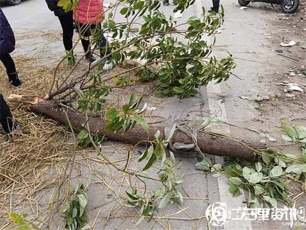 陜飛公司通勤車撞上騎電動車上學(xué)母女倆，致兩人不幸身亡