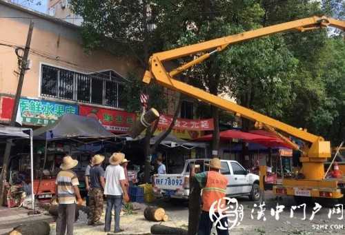 漢中市區(qū)一棵10米大樹(shù)突然傾倒，刮倒高壓線，所幸無(wú)人傷亡