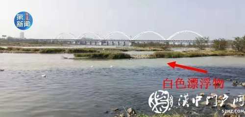 漢江面漂有白色“污染物” ？官方回應(yīng)！