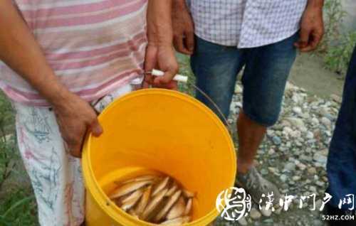 三人在河道非法電魚，被寧強(qiáng)民警抓個(gè)正著