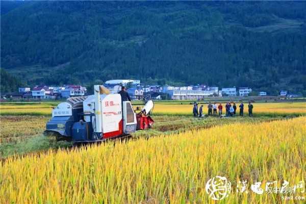 撒花！我市七家企業(yè)通過(guò)GAP認(rèn)證，拿到通行全球“護(hù)照”