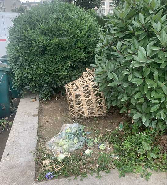 漢中一小區(qū)樓下果蔬超市亂扔果皮菜葉，影響居住環(huán)境