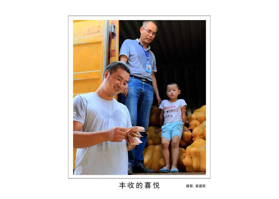 1175戶、34466人脫貧！漢臺(tái)區(qū)做了這些......"