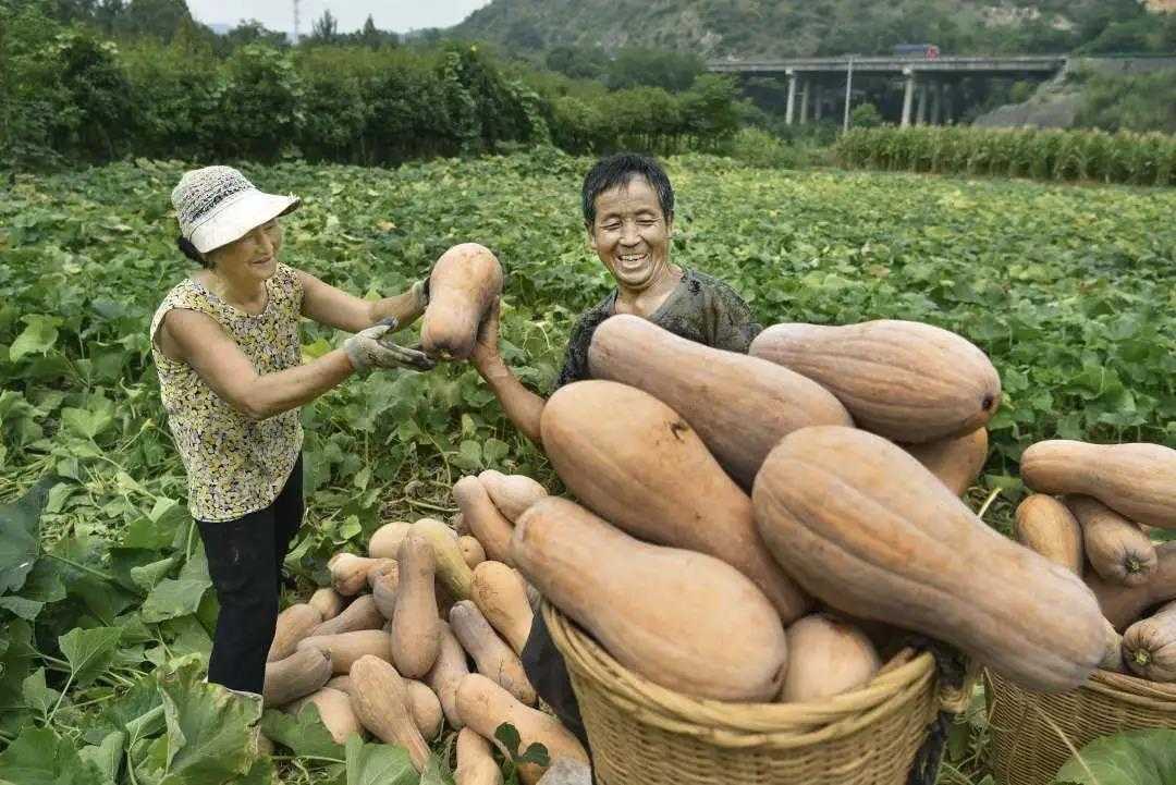 累計(jì)減貧78799人！看南鄭是怎么做到的...