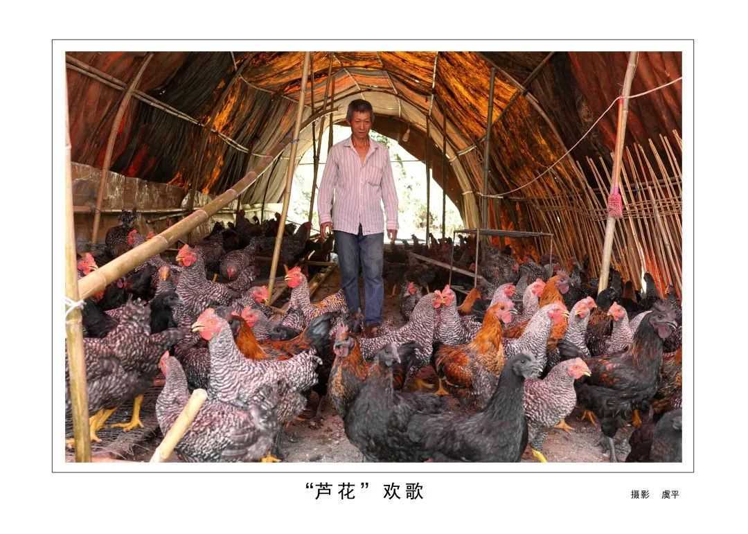 1175戶、34466人脫貧！漢臺(tái)區(qū)做了這些......"