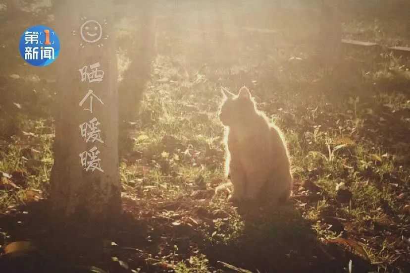 室內(nèi)溫度比室外高28℃！漢中別羨慕，市政集中供暖真的來了！