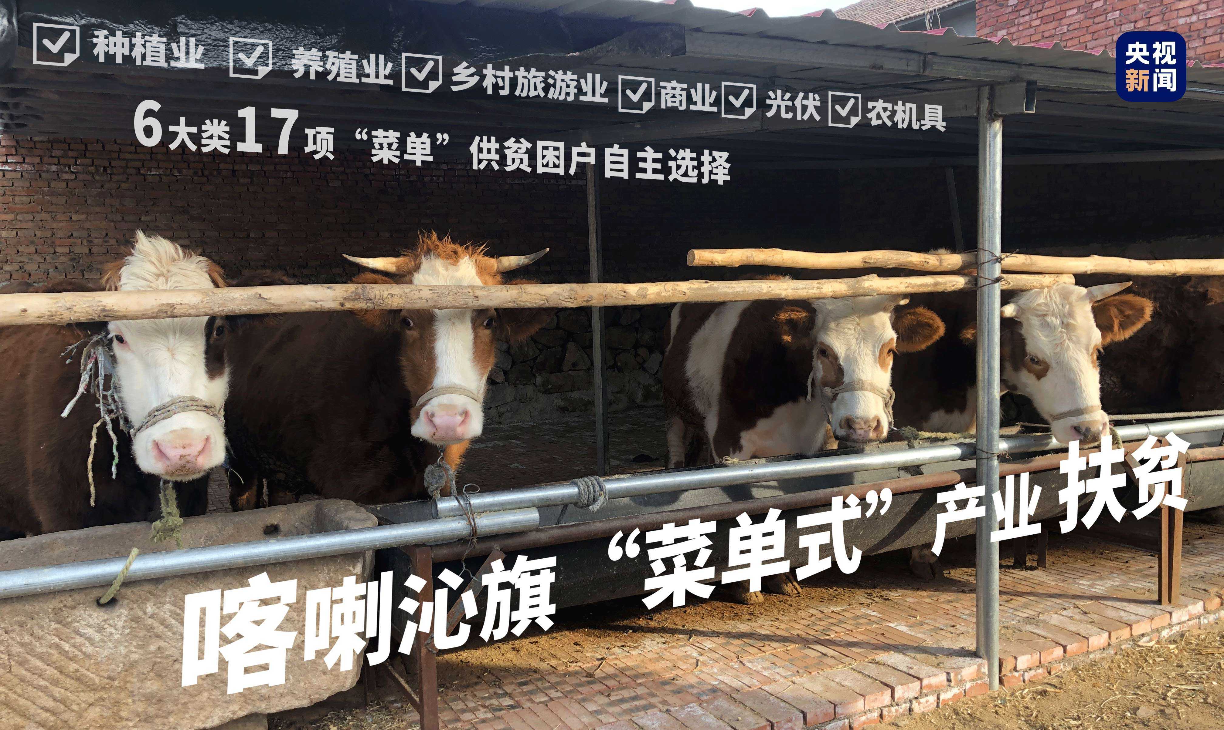 向總書(shū)記報(bào)告丨金鞍躍馬好揚(yáng)鞭