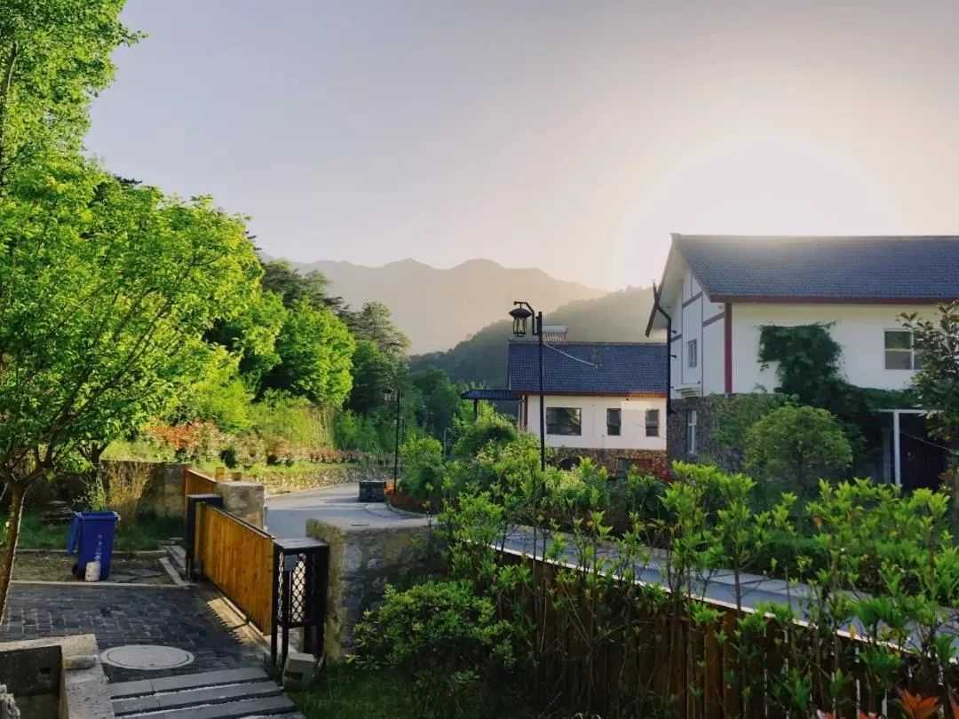 全市唯一，國家授牌