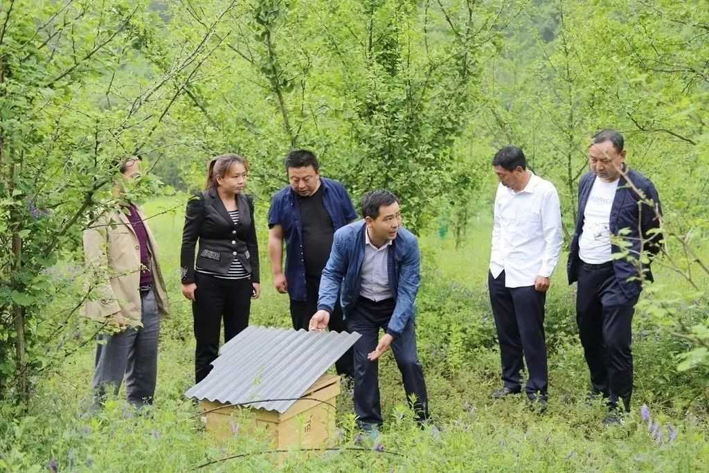 全市唯一，國家授牌