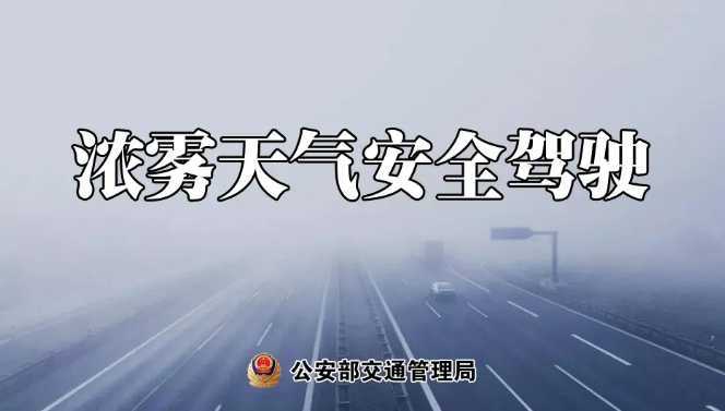 多地有大霧，安全駕駛提示速收好！ | 預(yù)警