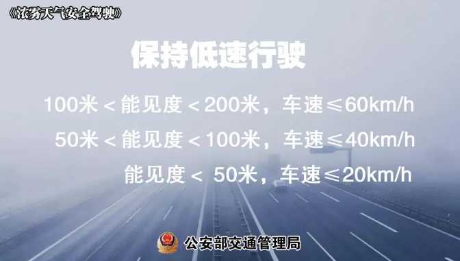 多地有大霧，安全駕駛提示速收好！ | 預(yù)警