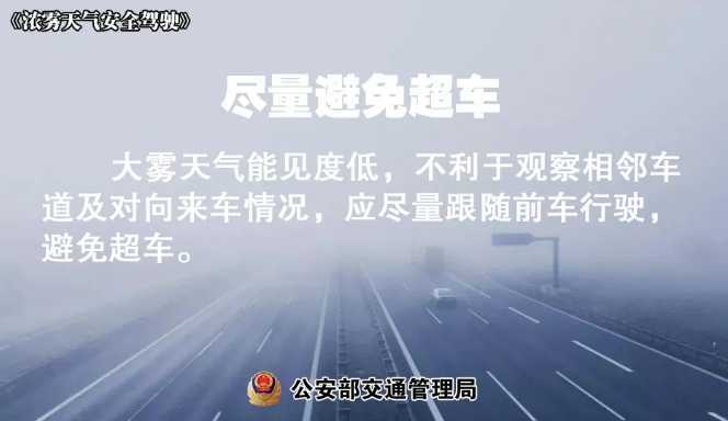 多地有大霧，安全駕駛提示速收好！ | 預(yù)警