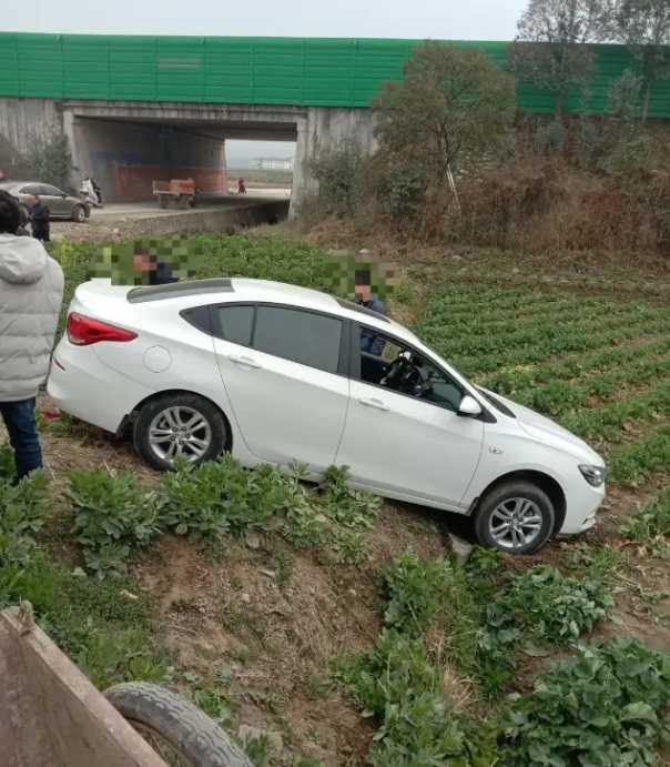 漢中一輛汽車開到油菜田里了！