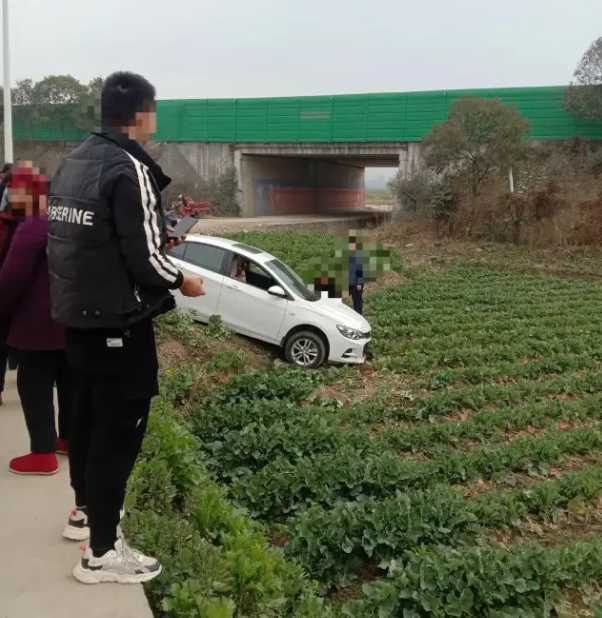 漢中一輛汽車開到油菜田里了！