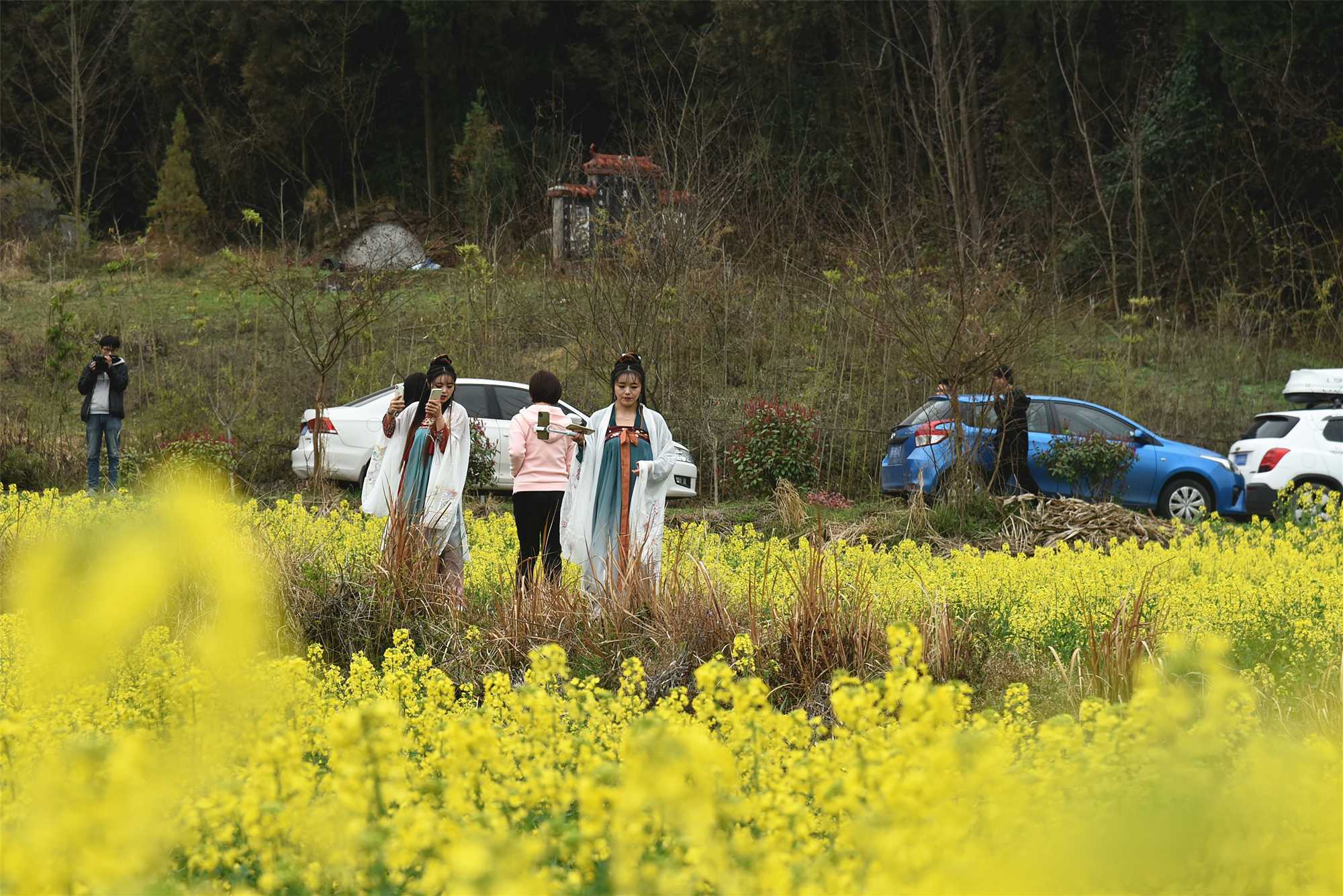 “2021中國最美油菜花?！h中旅游文化節(jié)”南鄭分會場啟幕