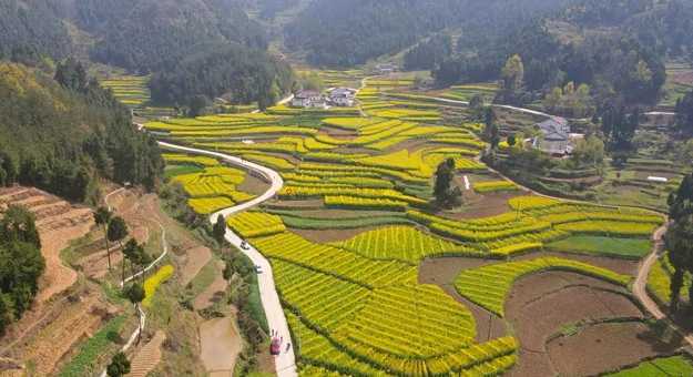 藏不住的梯田風(fēng)光！漢中媒體采風(fēng)團(tuán)走進(jìn)勉縣新鋪鎮(zhèn)漩水坪村