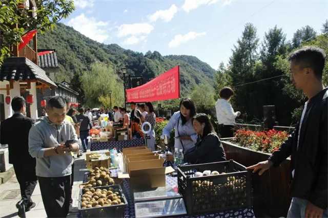 又是一年豐收時，留壩縣第四屆農民豐收節(jié)今日正式開幕！