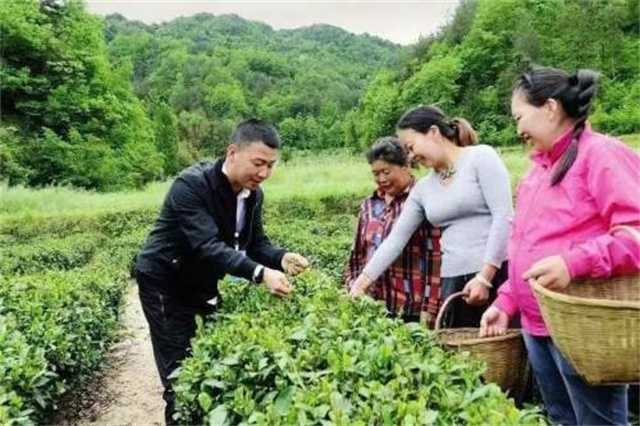 中央電視臺來漢中啦！只為這位85后