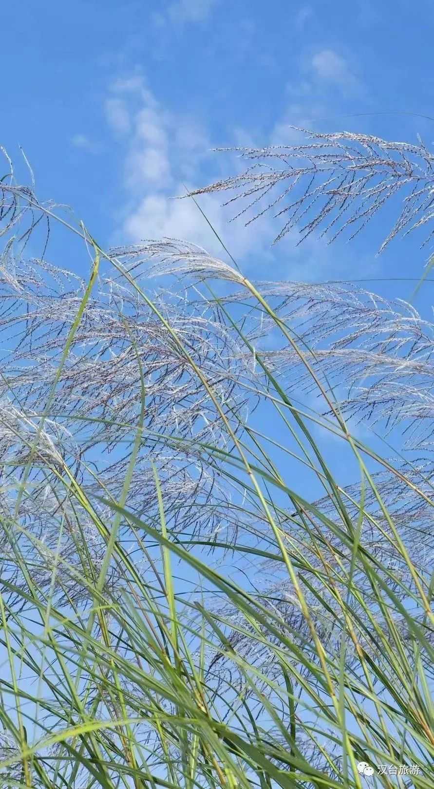 2022漢臺美景合集，今天帶你一次看完！
