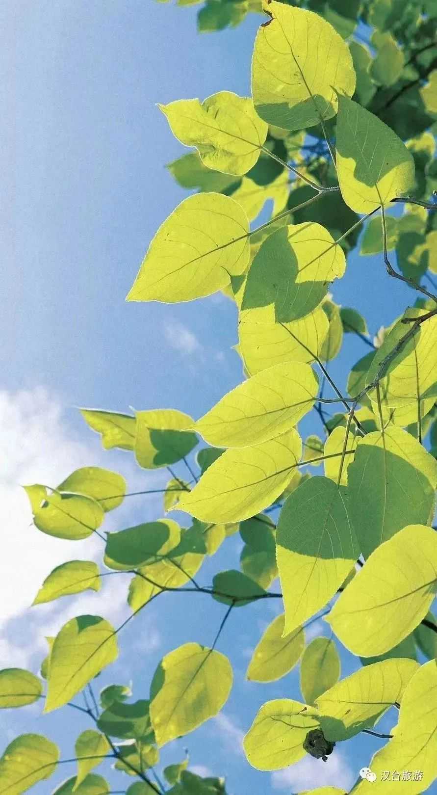 2022漢臺美景合集，今天帶你一次看完！