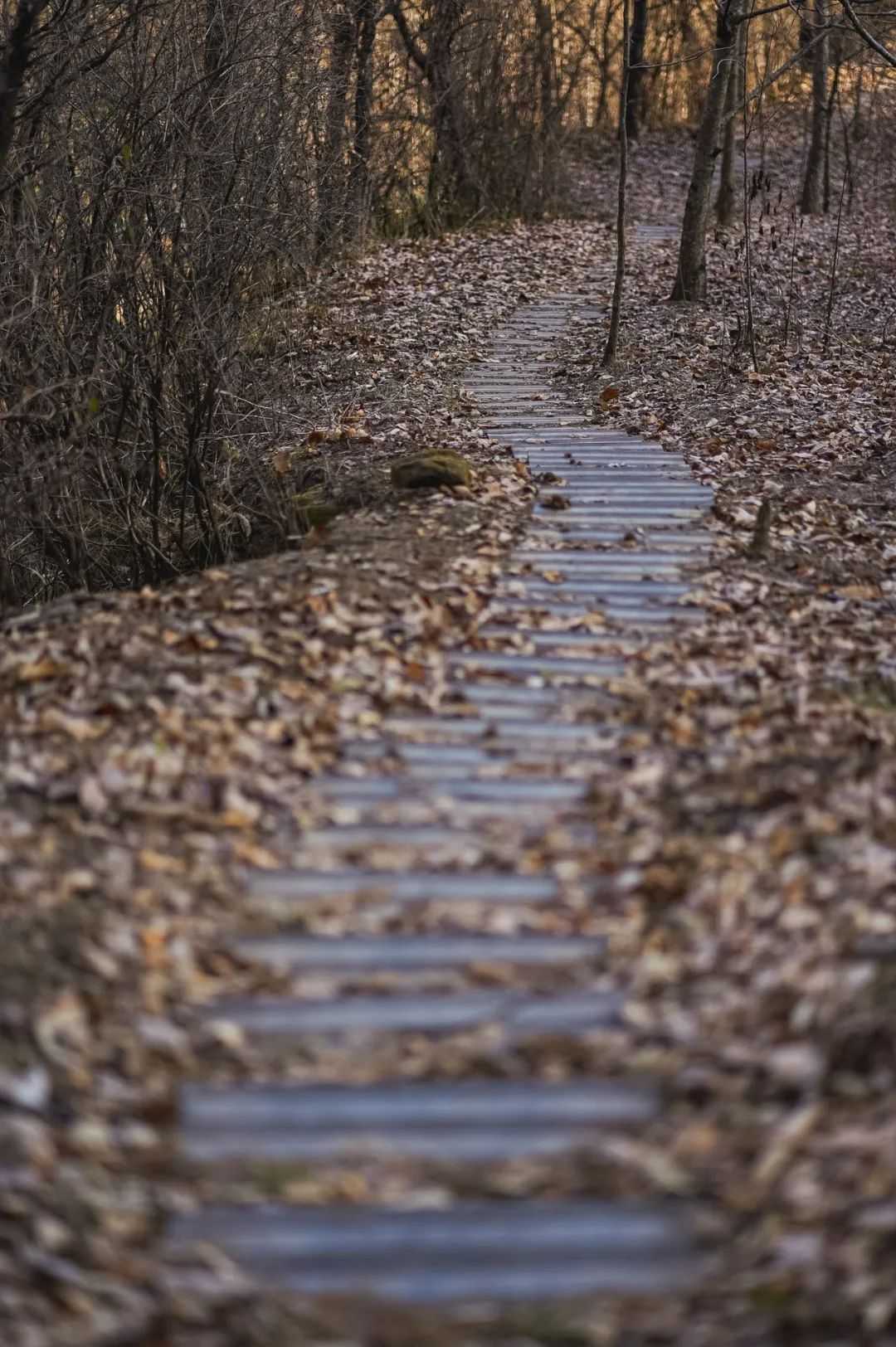 在漢中，這定是您向往的冬日生活！