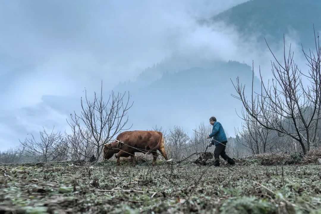 在漢中，這定是您向往的冬日生活！