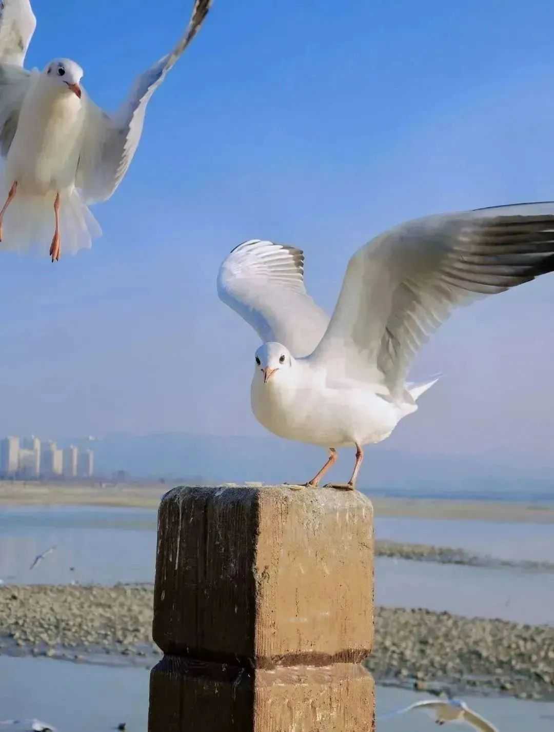 漢中美圖大片！煙火起 照人間，喜悅無邊 執(zhí)手憶此年。