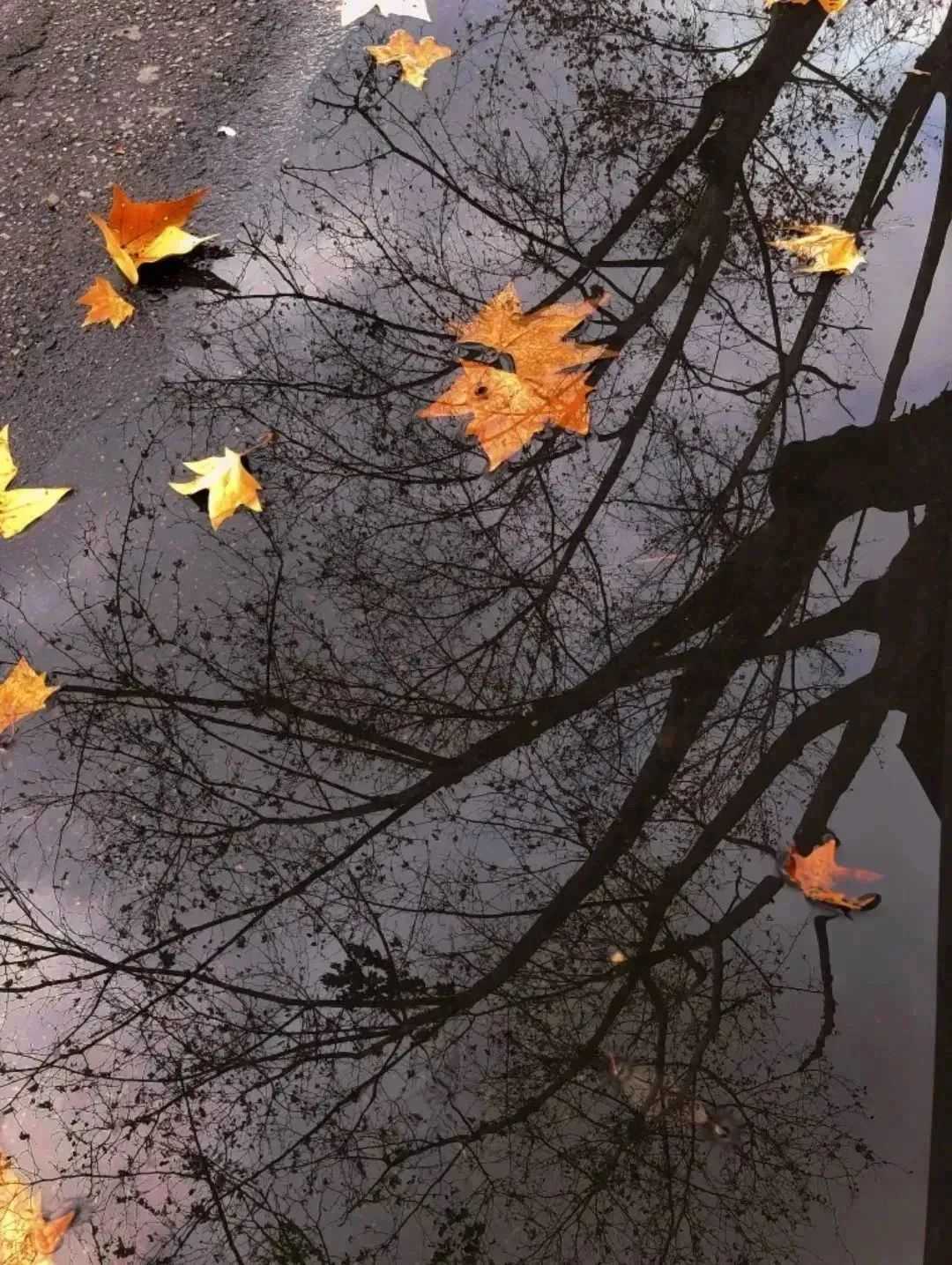 漢中美圖大片！煙火起 照人間，喜悅無邊 執(zhí)手憶此年。