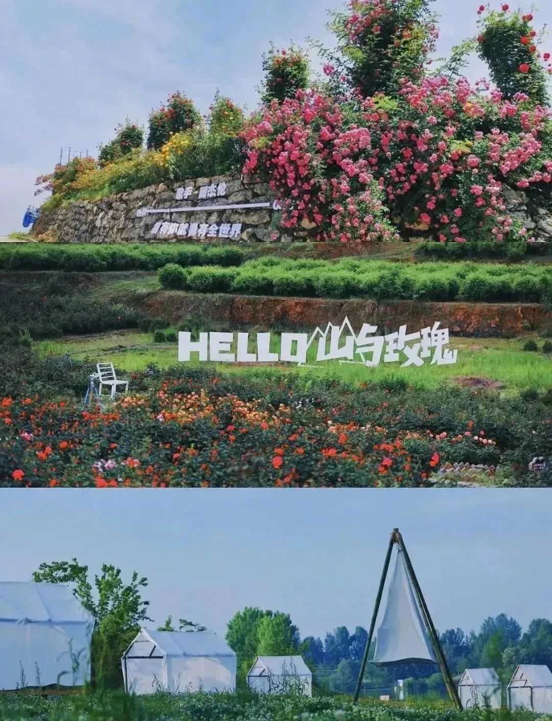 漢中美圖大片！煙火起 照人間，喜悅無邊 執(zhí)手憶此年。
