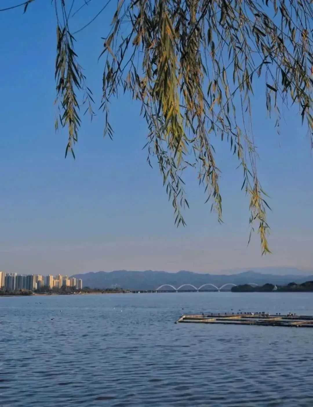 漢中美圖大片！煙火起 照人間，喜悅無邊 執(zhí)手憶此年。