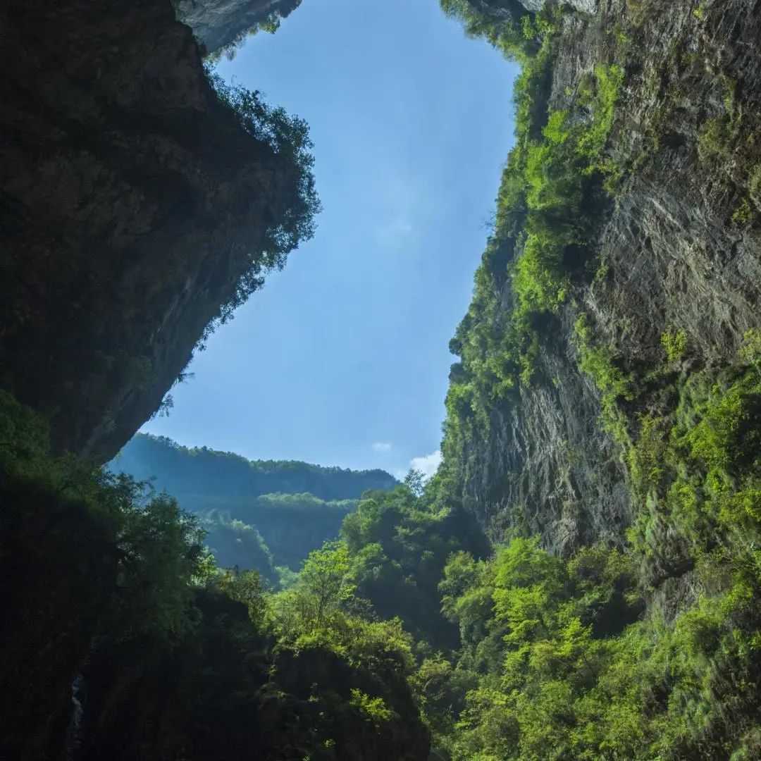 國際聯合科考隊再次來漢中！只為→